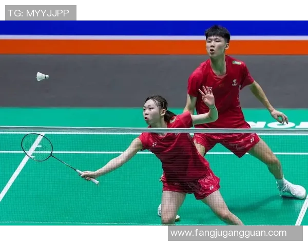 南京羽毛球队在全国羽毛球比赛经验排行榜中荣获第六名的辉煌成就